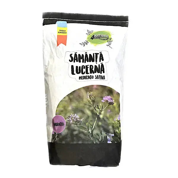 Semințe Lucernă Dobrogea – Rezistență maximă la secetă și producție ridicată