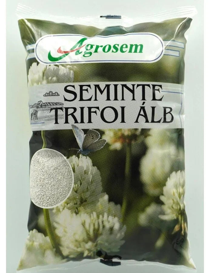 Sămânță Trifoi – 1 kg